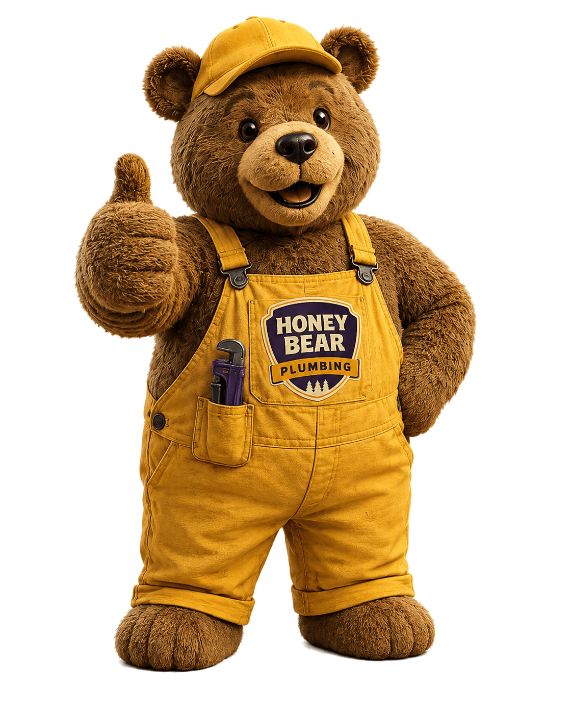 Honey Bear Plumbing mascot bear giving a thumbs up